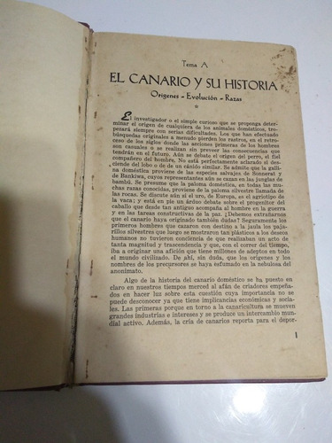 El Canario Y Su Historia.