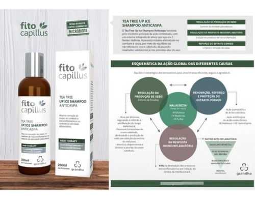 Shampoo Tea Tree E Shampoo Eucalyptus Grandha Kit Especial!!