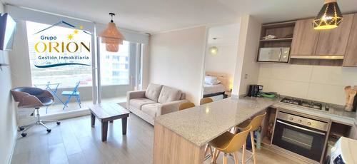 Arriendo Dpto. 2d,2b, Año Corrido, Amoblado (89889)