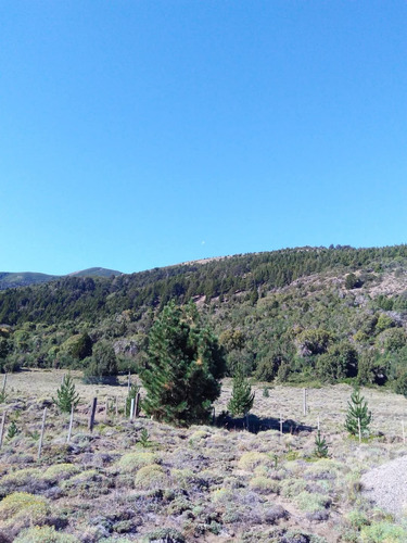 Venta De Lote En Lolog, Junin De Los Andes, Neuquén