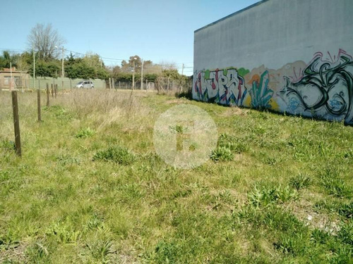 Imagen 2 de 4 de Flores Prop. Alquila Lote Sobre Colectora 12 De Octubre