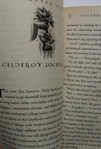 Harry Potter (Usado)