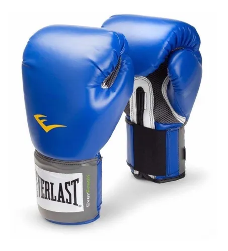 Guantes Boxeo Everlast Pro Style + Funda - Local Olivos