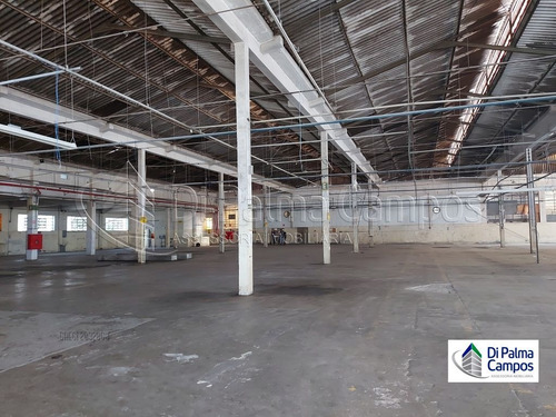 Imagem 7 de 15 de Galpão Industrial, Logistico, 5166,00m² Terreno - Dp4922