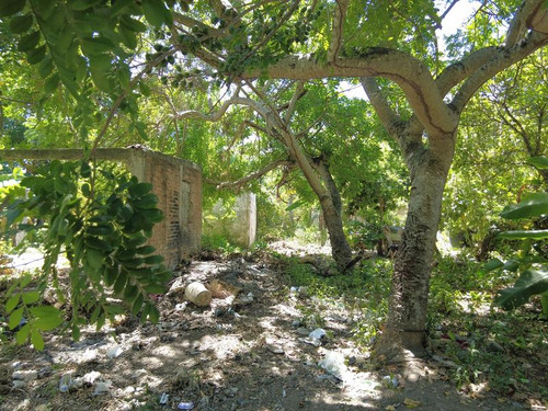 Terreno Venta 457 M² Colonia Manlio Fabio Tuxpan Veracruz