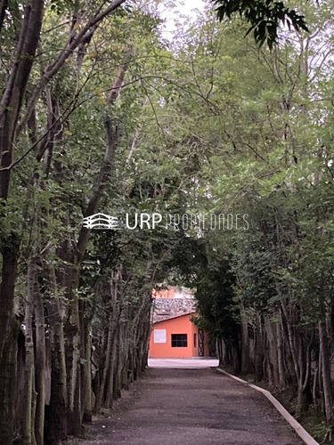 Hermoso Hípico San Luis Con 2 Casas