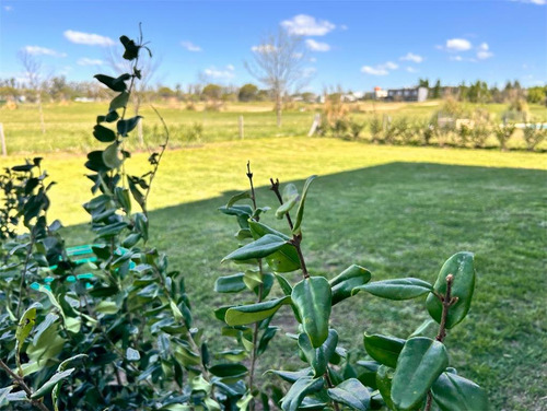 Alquiler Medal Depto Al Golf De 4 Ambientes Con Jardin Y Pileta