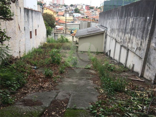 Sumarezinho - 353-im360647