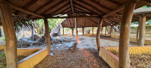 Imagen 13 de 14 de Terreno En Venta En Tocuyito