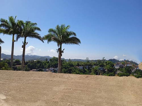 Imagen 19 de 20 de Terreno En Venta Plano 4000m2 En Potrerito San Antonio De Los Altos