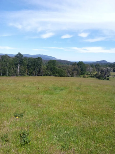 Espectacular Campo De 200 Hectareas En Loncoche