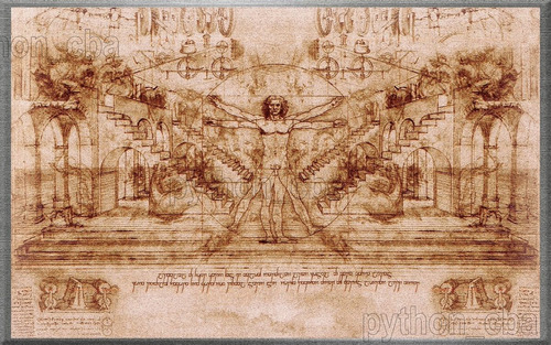 Póster Hombre De Vitruvio Y Dibujos De Leonardo Da Vinci