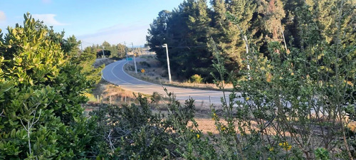 Parcela 3000 M2 En Venta Cobquecura