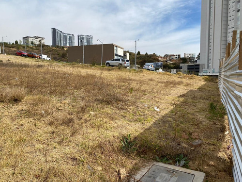 Imagen 4 de 5 de Terreno En Venta En Bosque Real