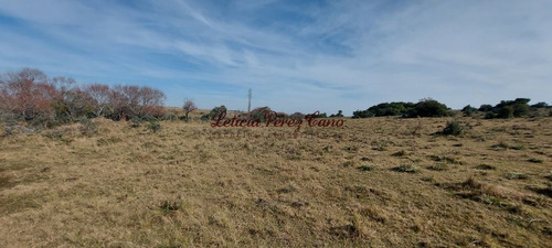 Imagen 15 de 23 de Venta De Chacra 19 Has En San Carlos, Maldonado
