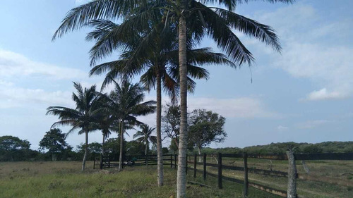 Venta De Terreno 1 H En Playa Zapote Ver. Para Inversionistas