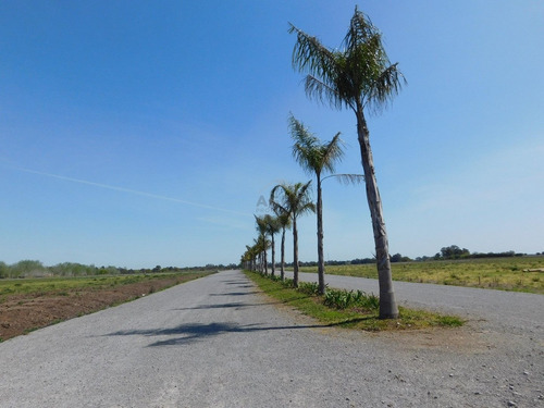 Imagen 2 de 27 de Lote - Venta - Praderas De Cardales - Alto Los Cardales - Zona Norte