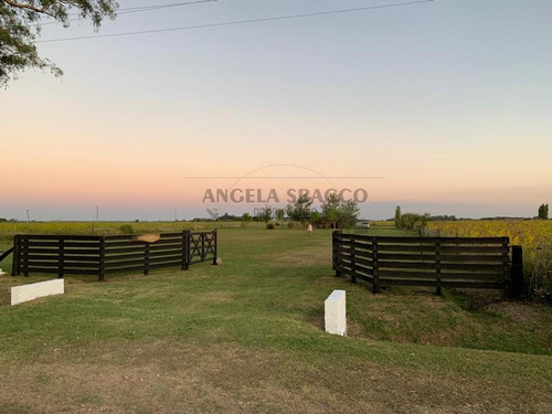 Imagen 17 de 30 de Campo En San Andres De Giles