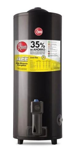 Imagen 5 de 10 de Termotanque A Gas Natural Rheem 80 L Tgnp080rh Conexión Sup.