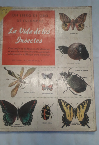 Album Figurita * Libro Oro Estampas : Insectos * Novaro
