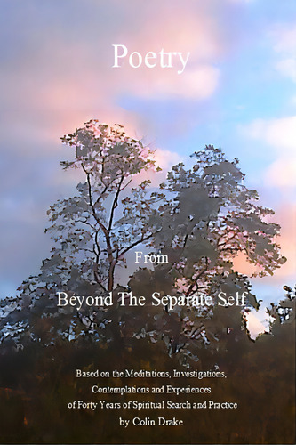Poetry From Beyond The Separate Self, De Drake, Colin. Editorial Colin Drake, Tapa Blanda En Inglés