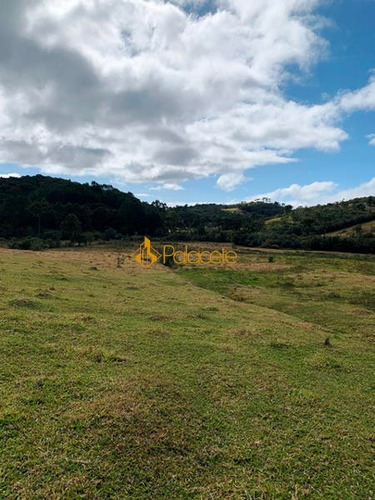 Imagem 12 de 15 de Rural Chacara - 886221-v