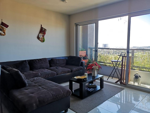 Imagen 5 de 10 de Se Alquila Apartamento En La Uruca
