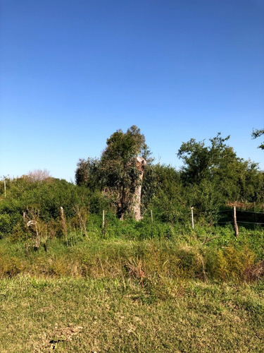 Imagen 9 de 9 de Terrenos En Loma Verde - General Paz