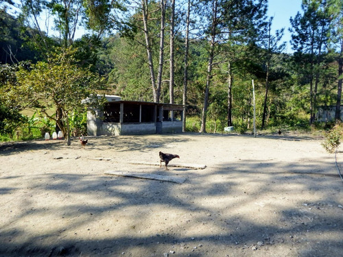 Imagem 6 de 16 de Sítio À Venda Com Pasto Lago Piscina 56.000 Ótima Localização
