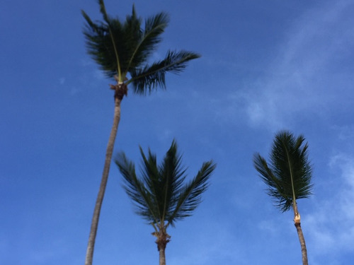 Terrenos Con Frente De Playa En Uvero Alto, Punta Cana 