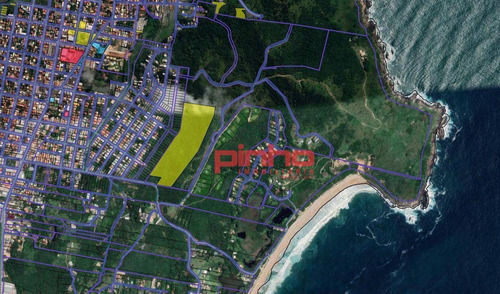 Terreno À Venda, Área De 72.439,76m² Por R$ 7.922.600 - Areias De Palhocinha - Garopaba/sc - Te0074