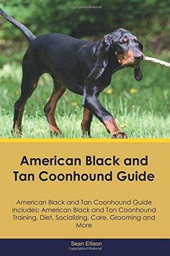 American Black And Tan Coonhound Guide American Black And Ta