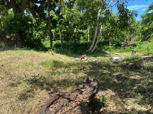 Vendo Hermoso Terreno De Aproximada 1,260 Metros Cuadrado A 300 Metros De La Playa Ubicado En El Proyecto Turístico Costambar, Puerto Plata República Dominicana