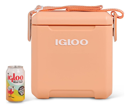 Caixa Termica Cooler Com Alça 10 Litros Praia Pesca Camping