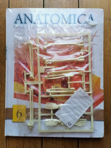 Libro Enciclopedia Anatomica Nº 6 - Antigua Buen Estado