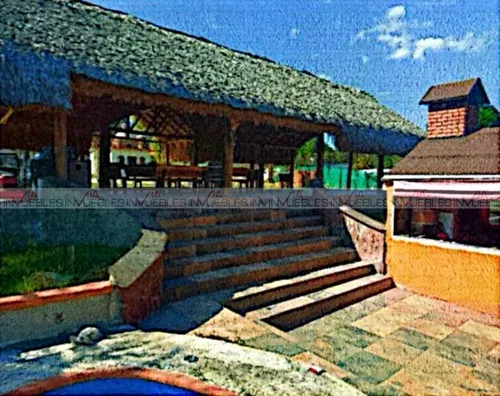 Palmitos Cadereyta