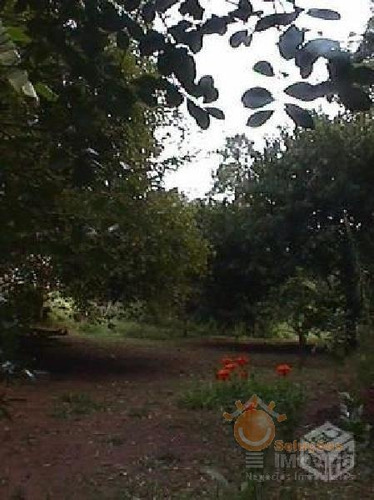 Imagem 4 de 6 de Venda - Chácara Paulas E Mendes / Piedade/sp - 3713