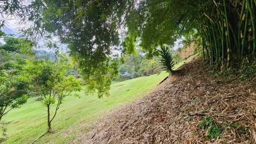 Lote En Venta En Llanogrande. Cod V12431