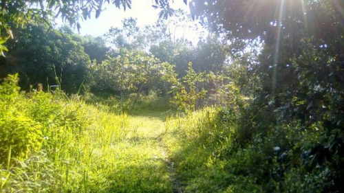 Imagem 16 de 25 de Imóvel No Balneário Gaivota, Em Itanhaém, Com Bom Espaço Para Plantio, Analisa Proposta À Vista Ref: 4442/ac