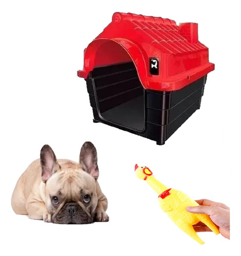 Brinquedo Galinha De Plastico P/ Cães + Casinha Pet Médio N2