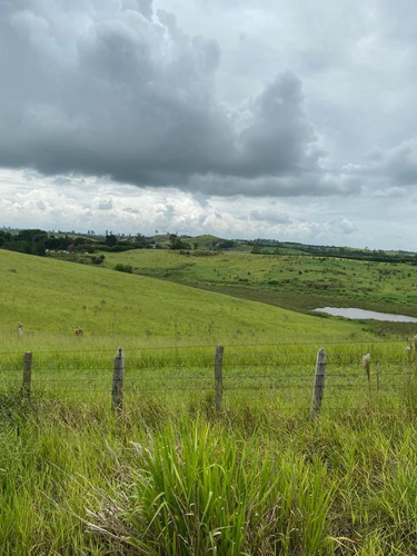 Imagem 30 de 30 de G03- Lotes Para Morar Com Sua Família Em Jacareí