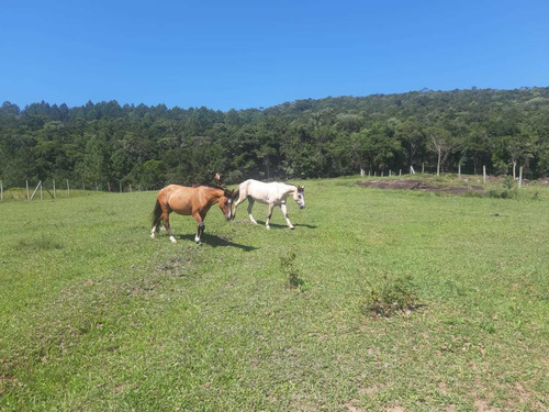Imagem 7 de 13 de Chácara Em Guarda Do Cubatão, Palhoça/sc De 56m² 3 Quartos À Venda Por R$ 1.700.000,00 - Ch2330854-s