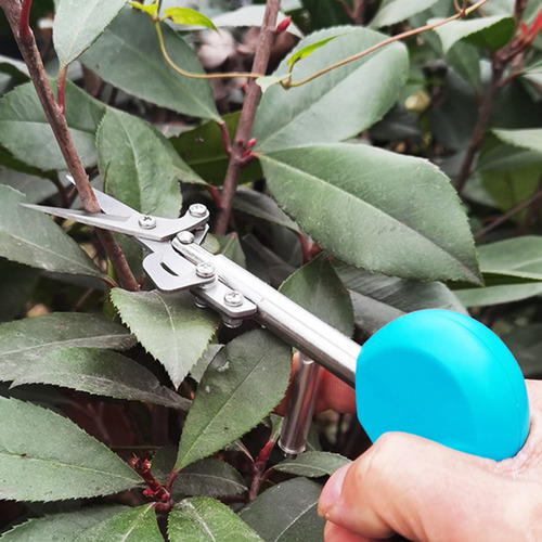 Para Tijeras De Podar De Jardín Tijeras De Pimienta Verde