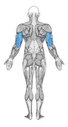 Imagem 3 de 4 de Extensor Puxador Triceps Biceps Remada Multi Funcional