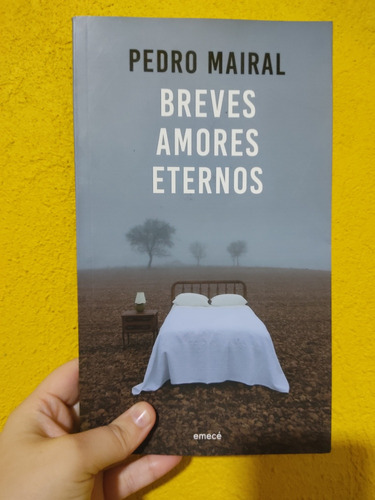 Breves Amores Eternos Pedro Mairal 