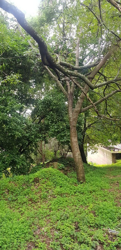 Divino Terreno En Fracc. Limoneros, Cuernavaca