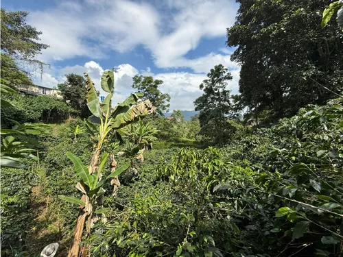 Se Vende Lote Vereda San Juan De Carolina