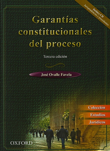 Garantías Constitucionales Del Proceso - Detalles De Bodega