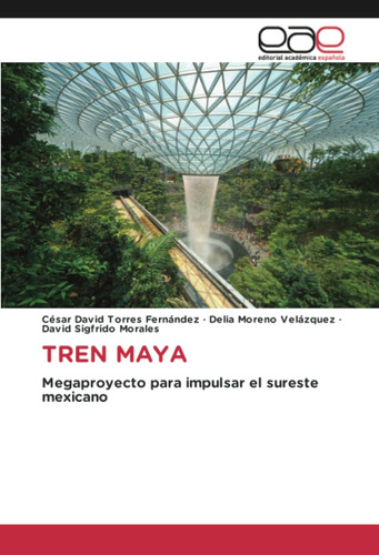 Libro: Tren Maya: Megaproyecto Para Impulsar El Sureste Mexi