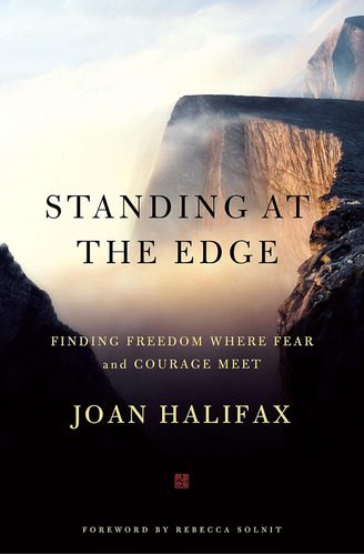 Libro Standing At The Edge-inglés